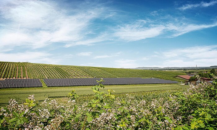 Unser grosser Photovoltaik-Park (Eber-Energy)