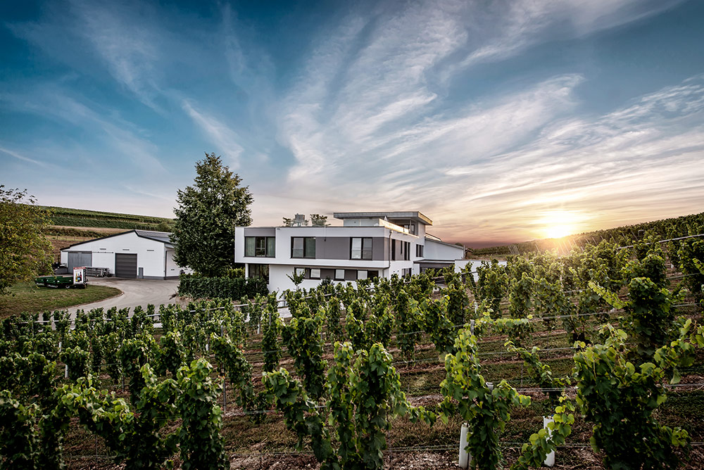 Das Hauptgebäude der Privatkellerei Eberbach-Schäfer im Abendlicht